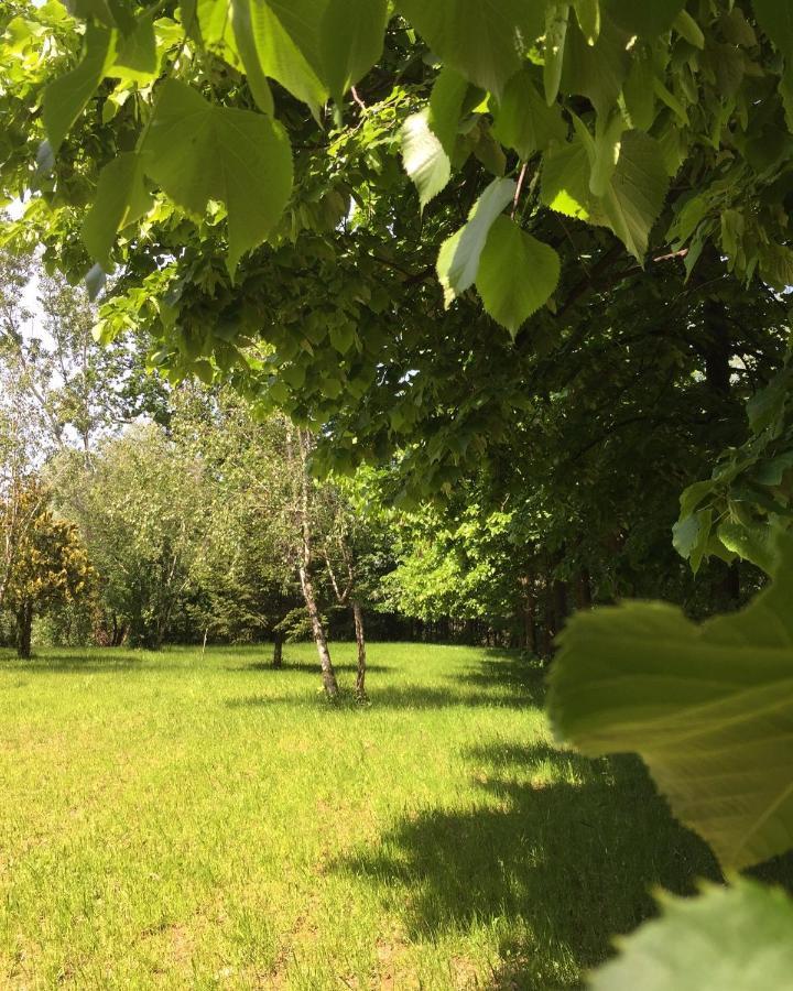 Happy Hill - Appartamento Bambu- Natura E Relax Santa Maria Rocca Exterior foto