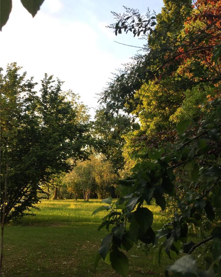Happy Hill - Appartamento Bambu- Natura E Relax Santa Maria Rocca Exterior foto
